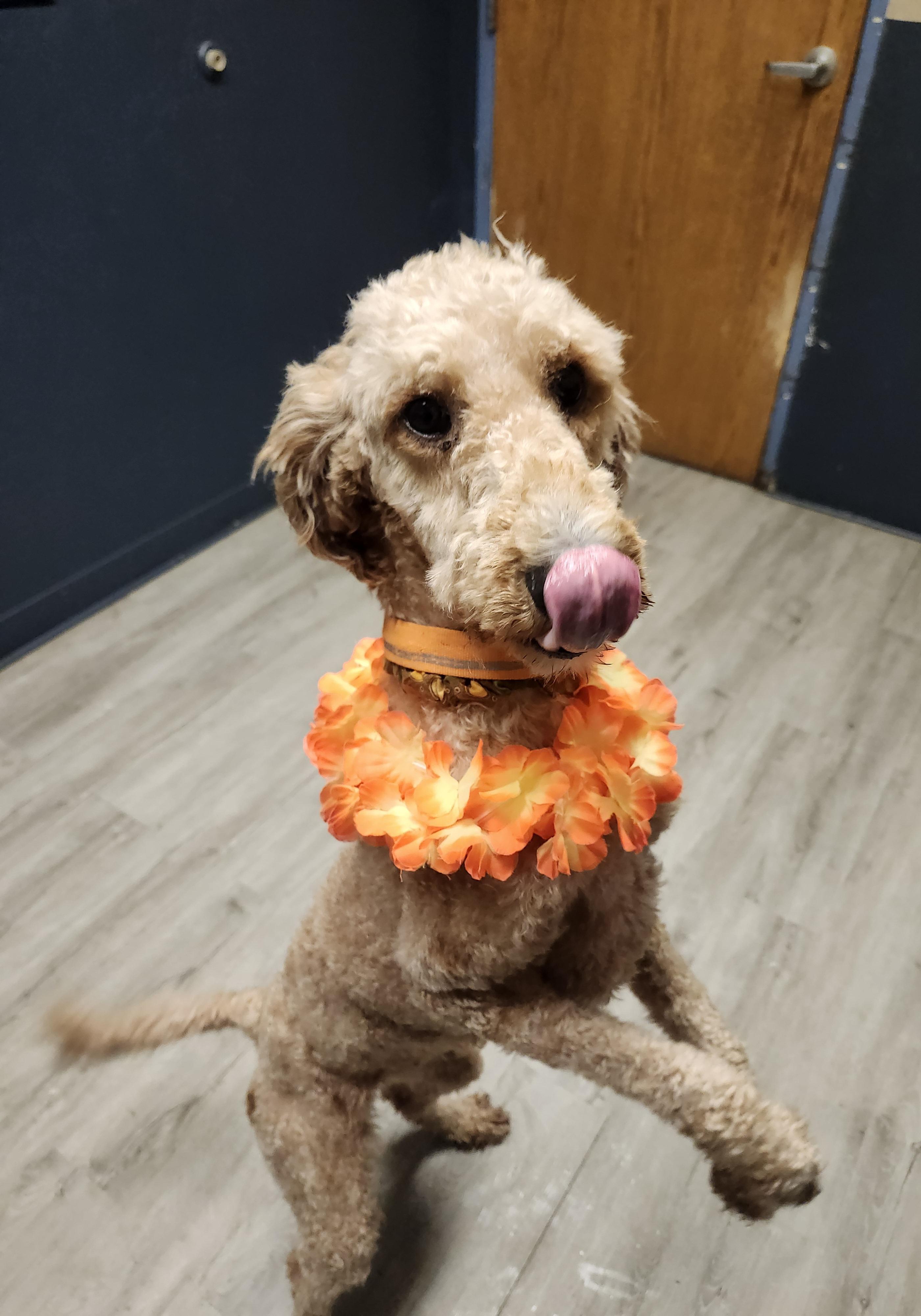 Sally Struthers thumbnail 3