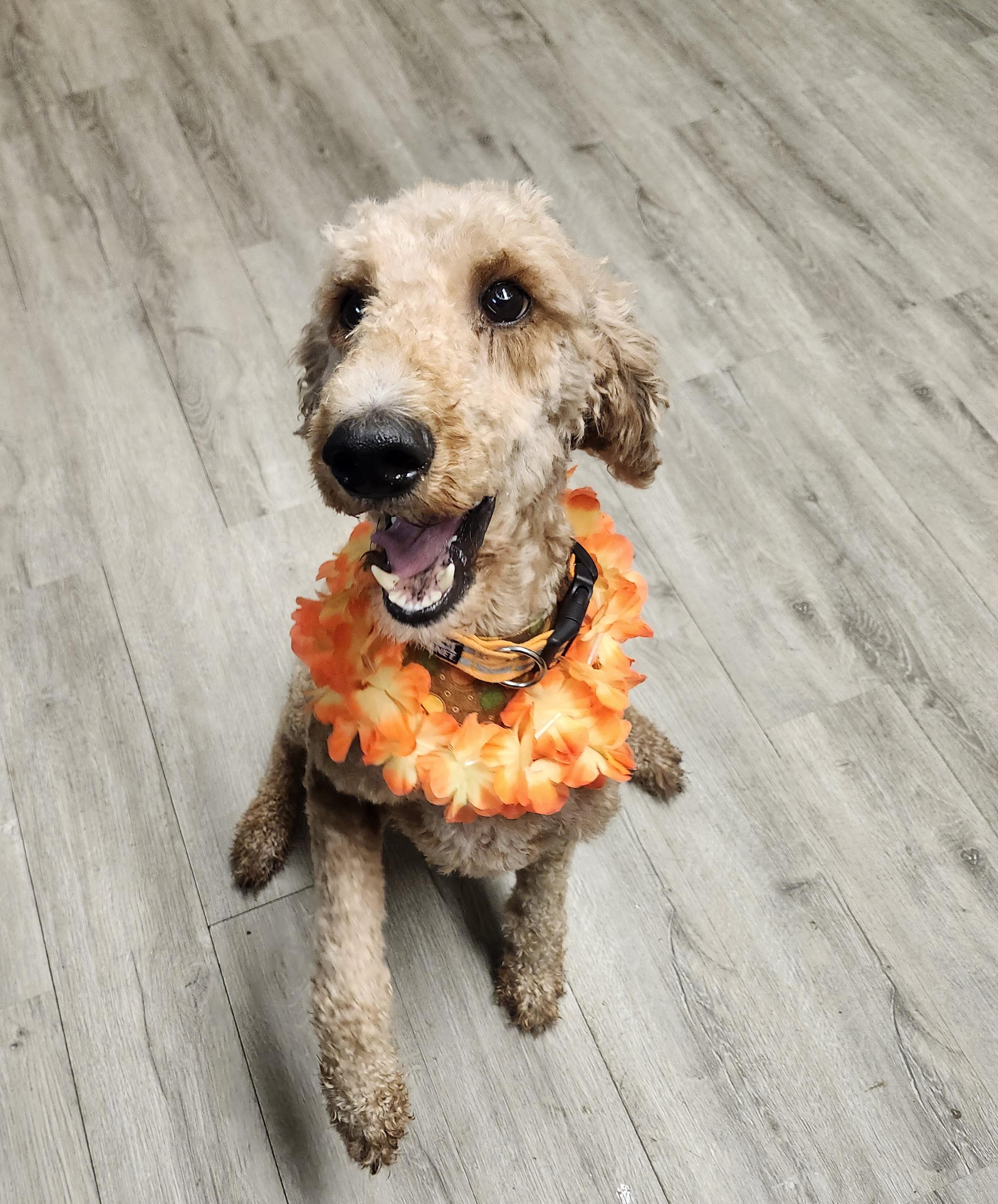 Sally Struthers thumbnail 4