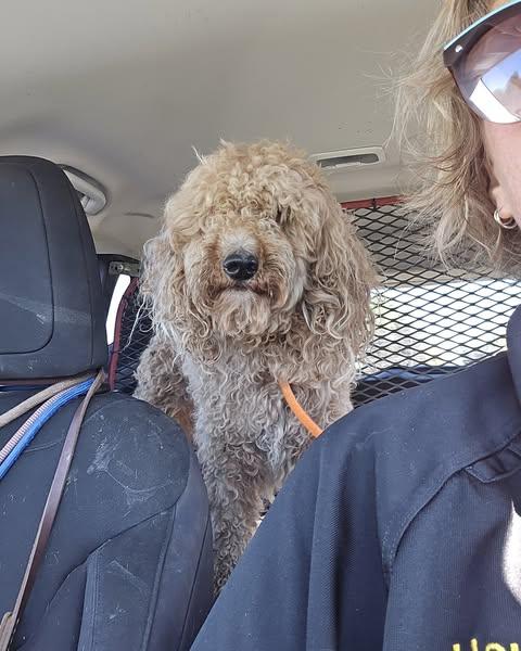 Sally Struthers thumbnail 2