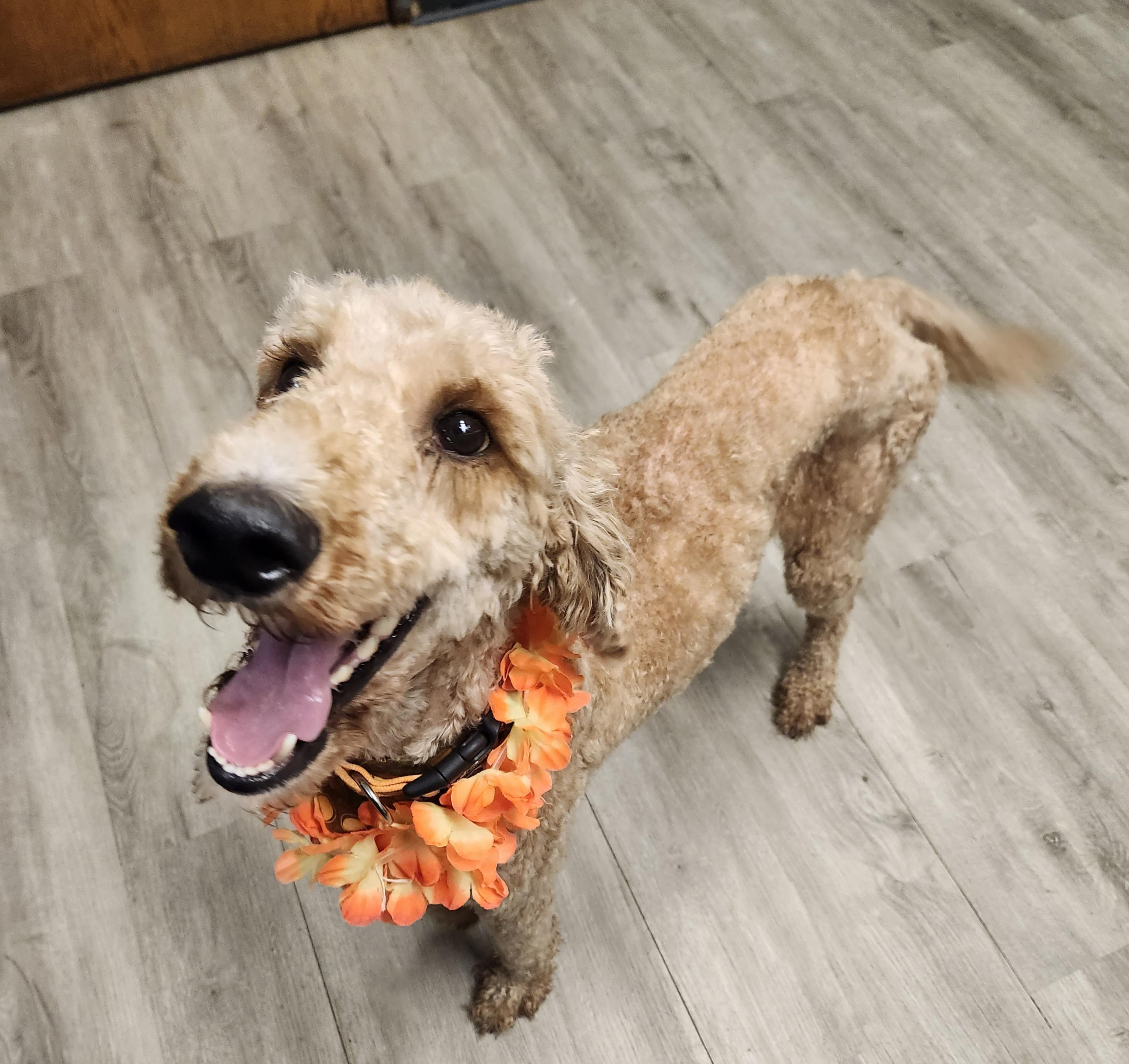 Sally Struthers thumbnail 5