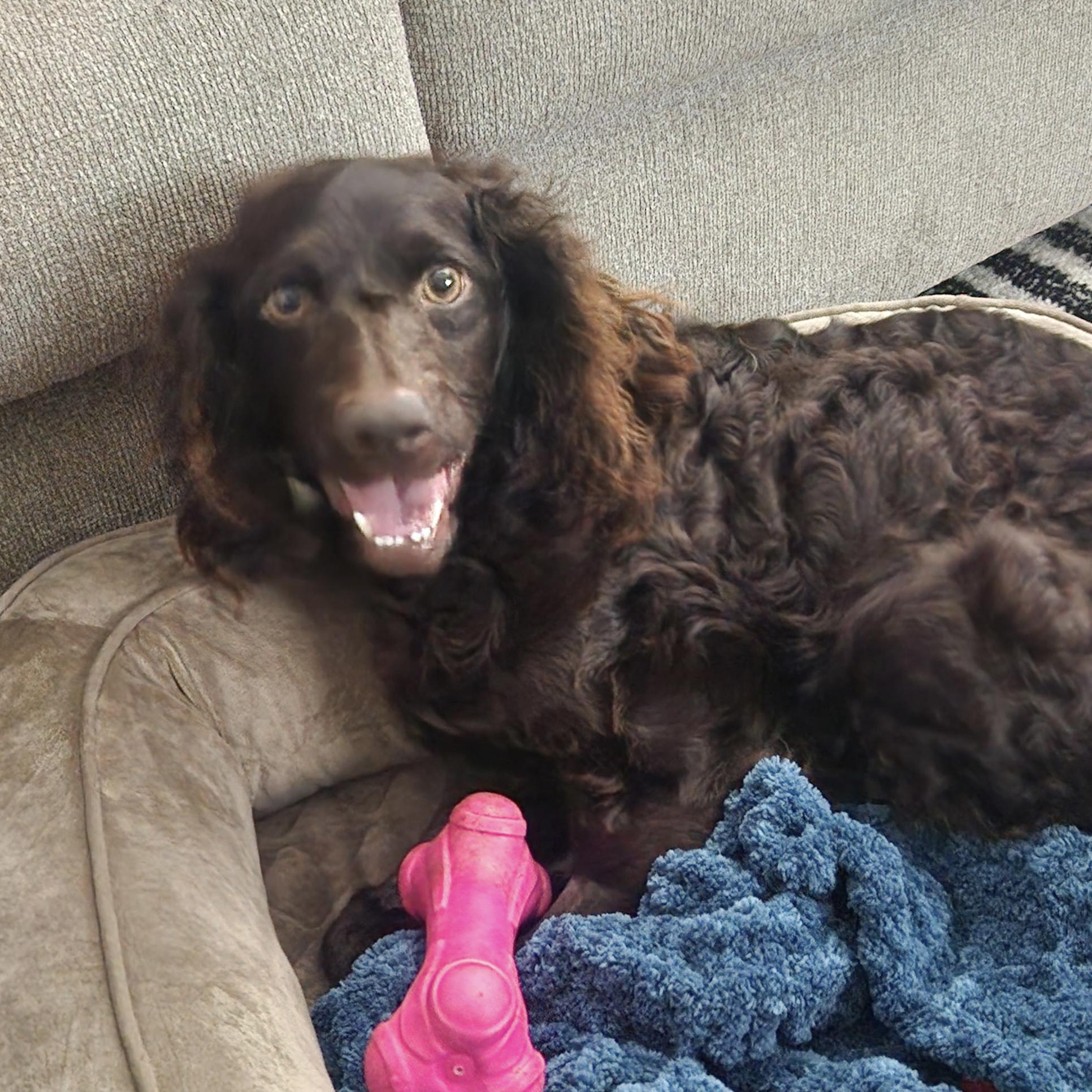 Emma — thumbnail 2