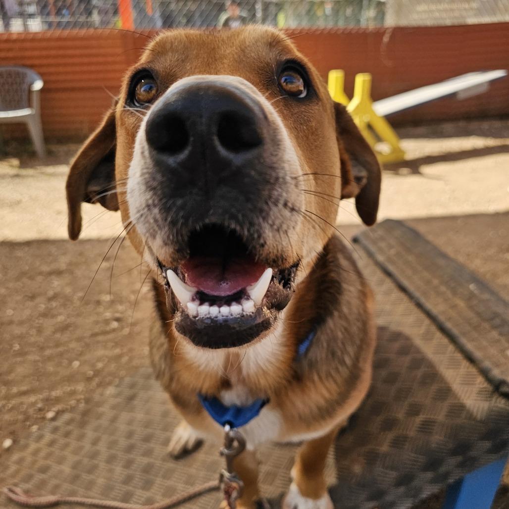 Lenny — thumbnail 2