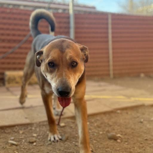 Lenny — thumbnail 3