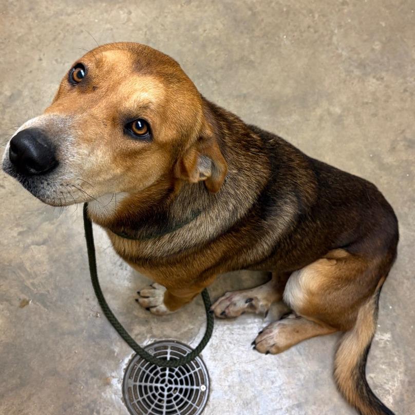 Lenny — thumbnail 5