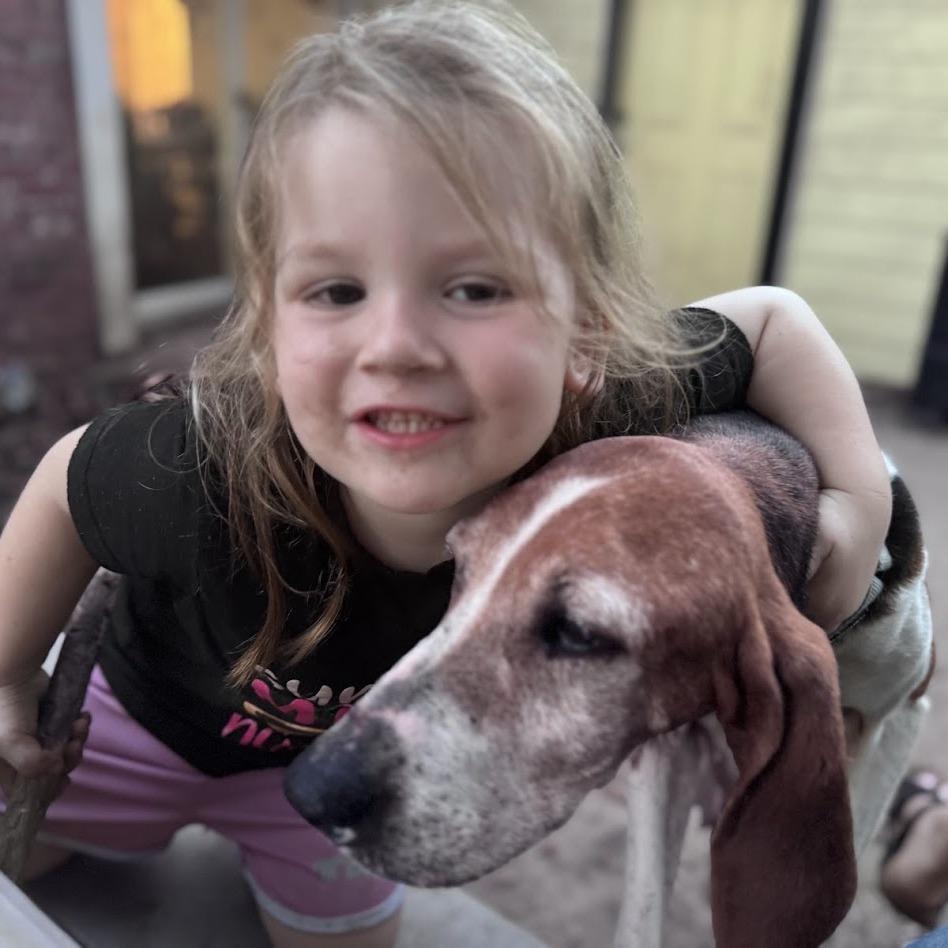 Enlarge Rita, a Adoptable Hound in North Charleston, SC image 6/6