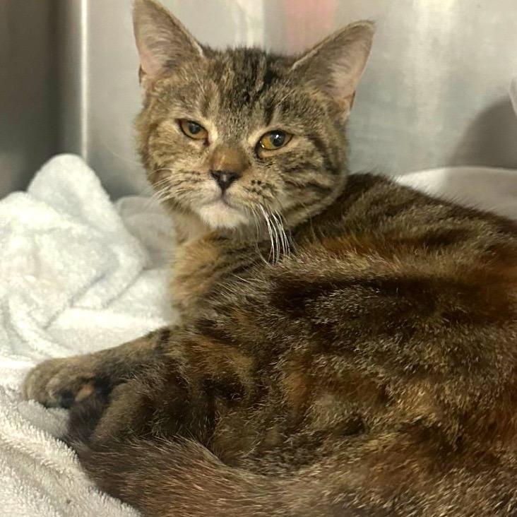 Winnie — thumbnail 2