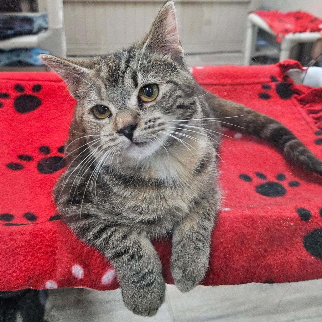 Winnie — thumbnail 3