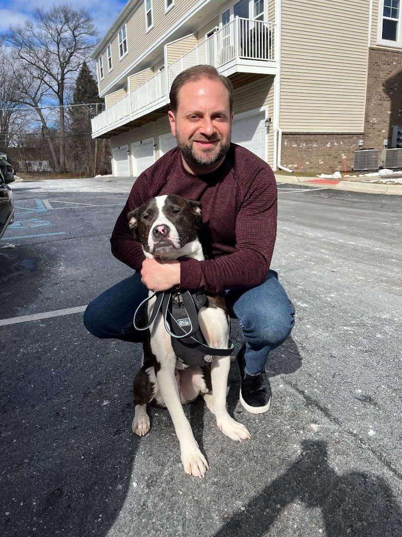 Juzzo, a Adopted mixed breed in Pleasant Ridge, MI image 6/11