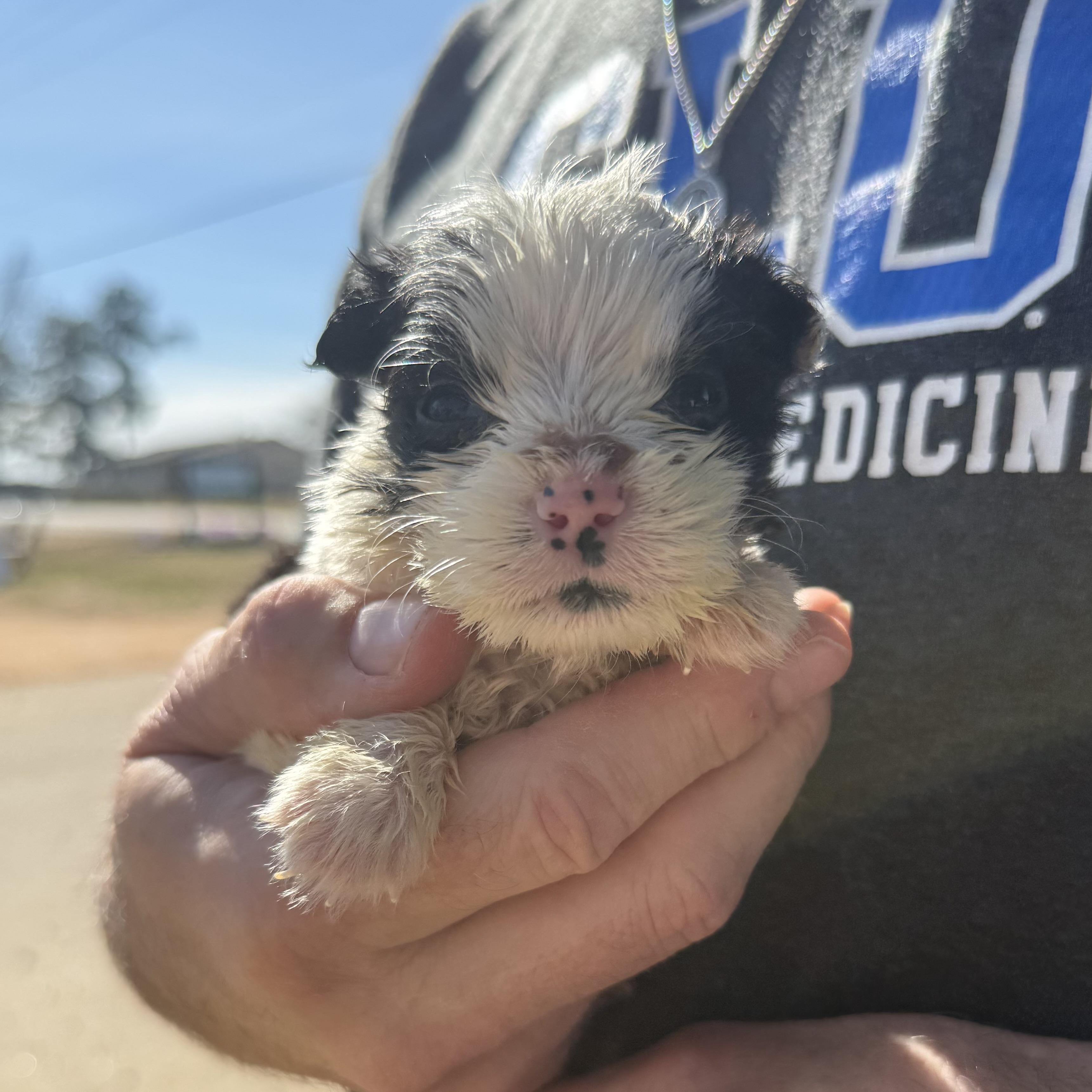 Lava Lamp — thumbnail 2