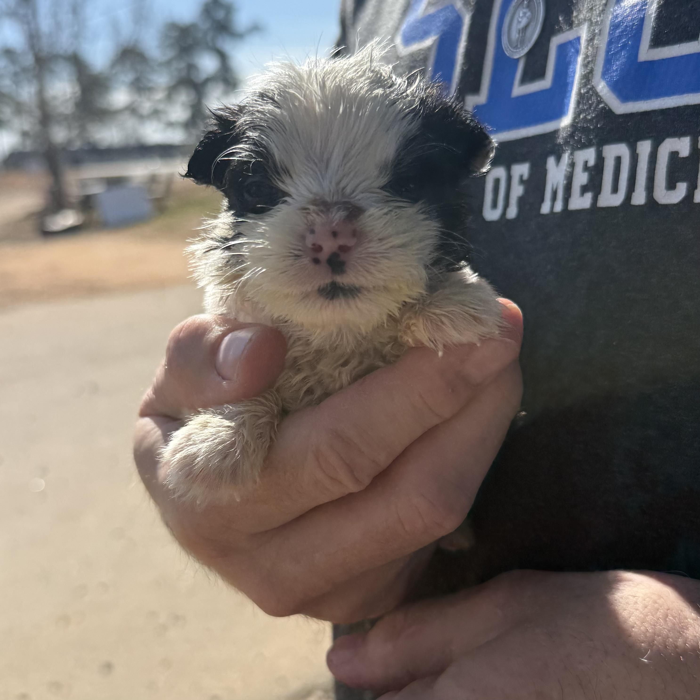 Lava Lamp — thumbnail 3