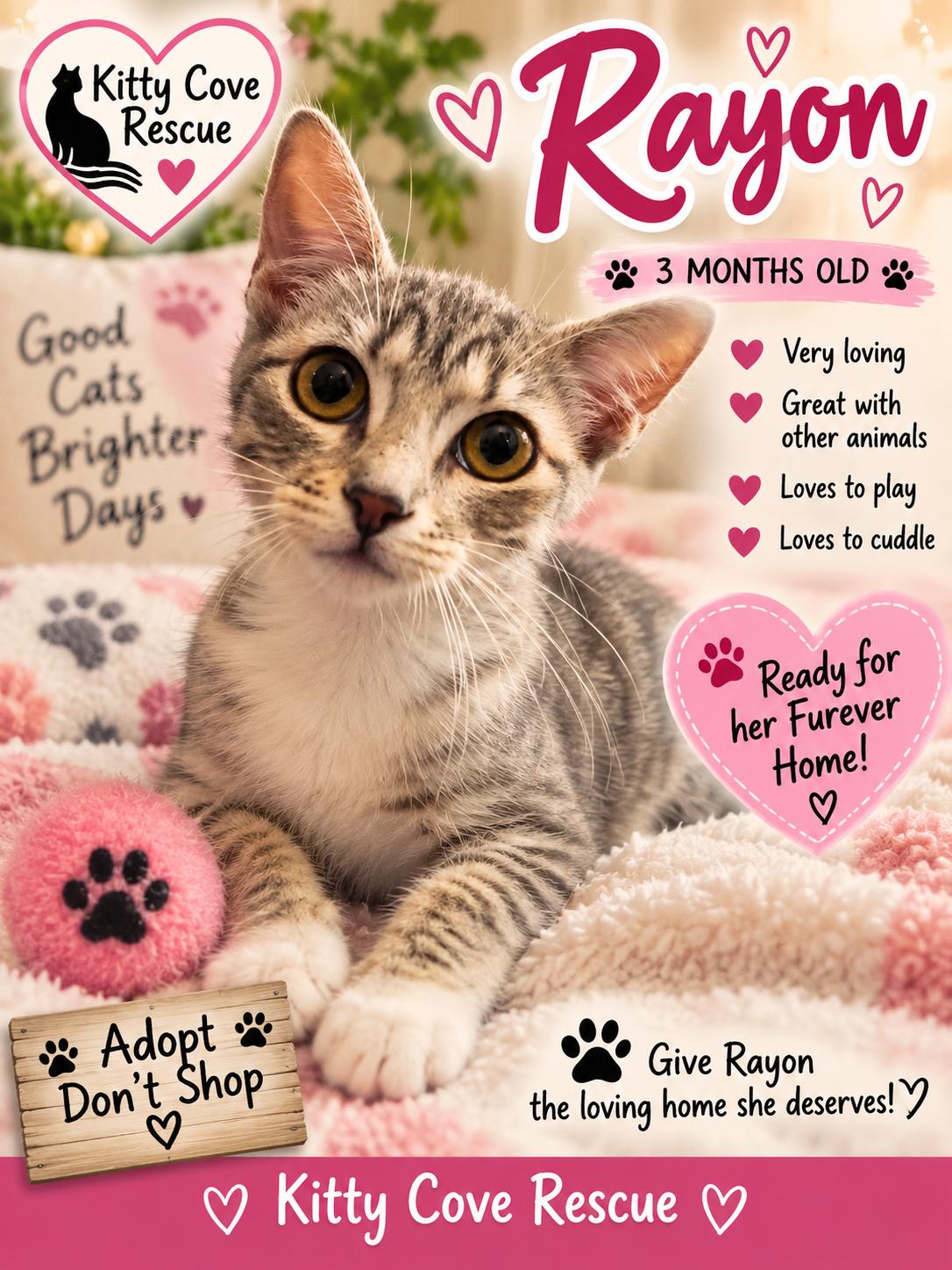 Enlarge Rayon, a Adoptable Domestic Short Hair in Mount Pleasant, TX image 1/5