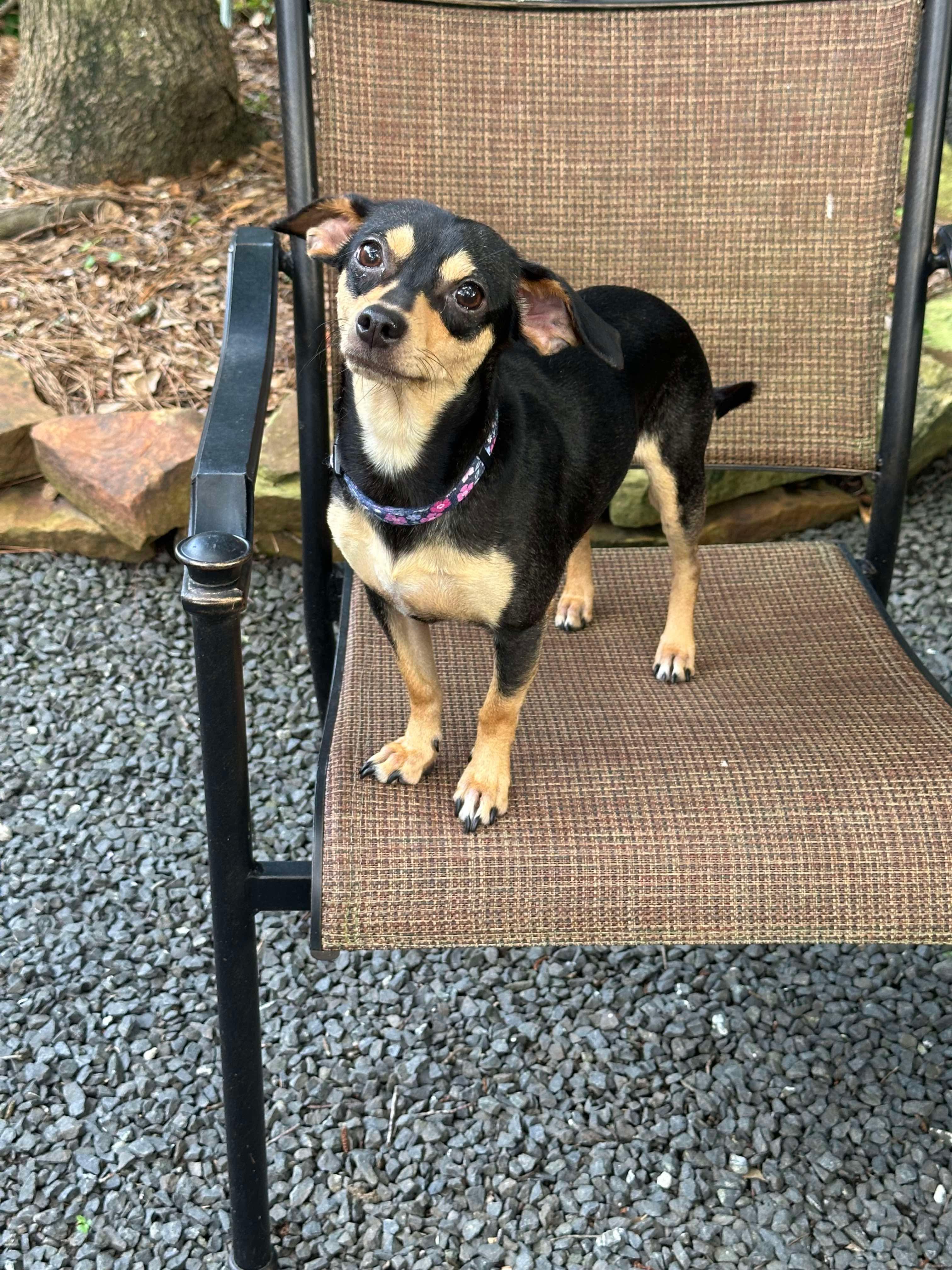 Rosie