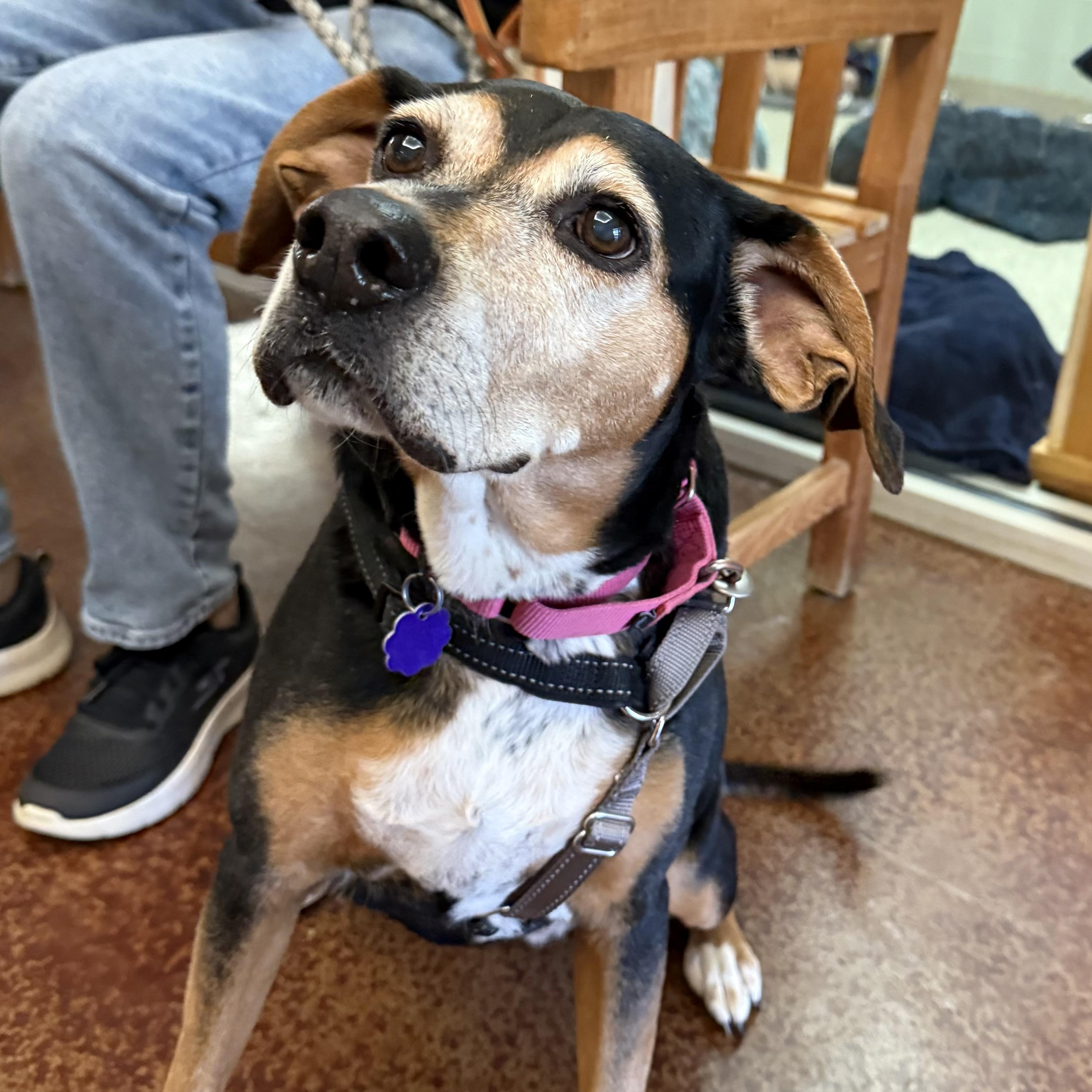 Gracie Mae photo