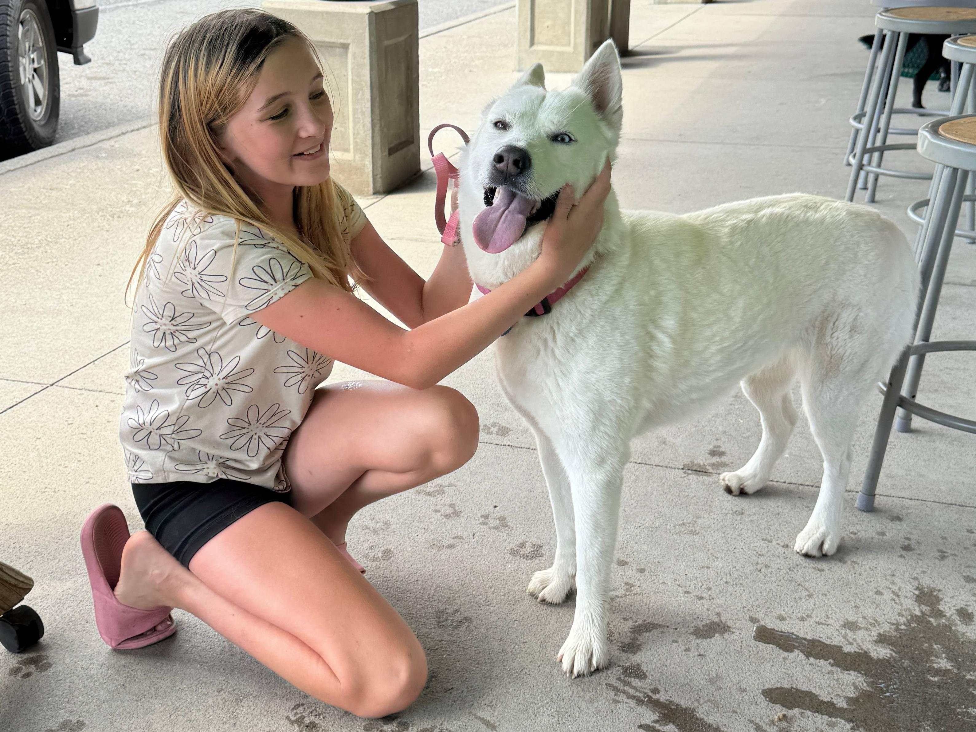 Cypress, an adoptable Husky, Mixed Breed in Republic, WA, 99166 | Photo Image 3