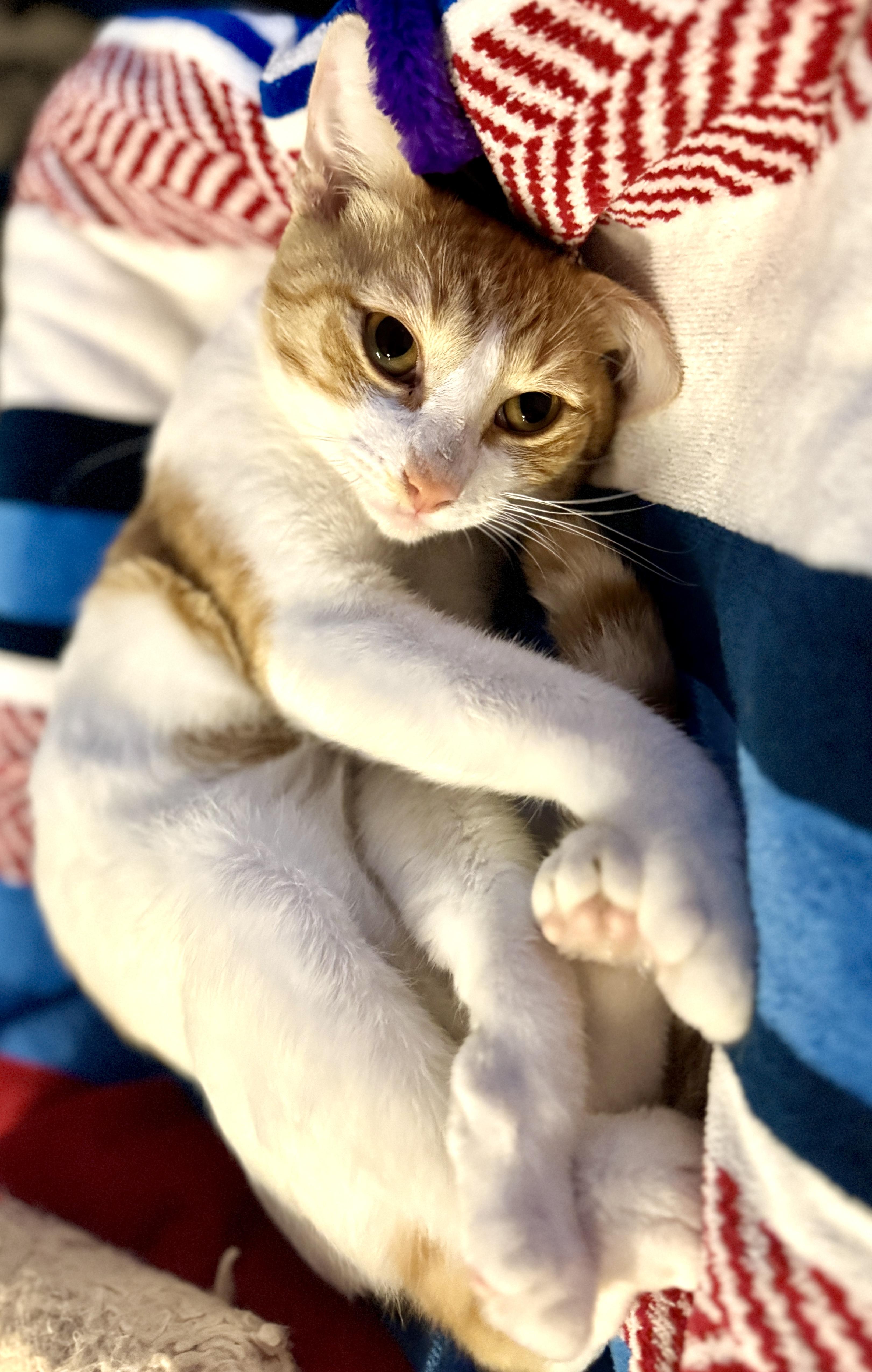 Butters (Attn: South Park fans!)