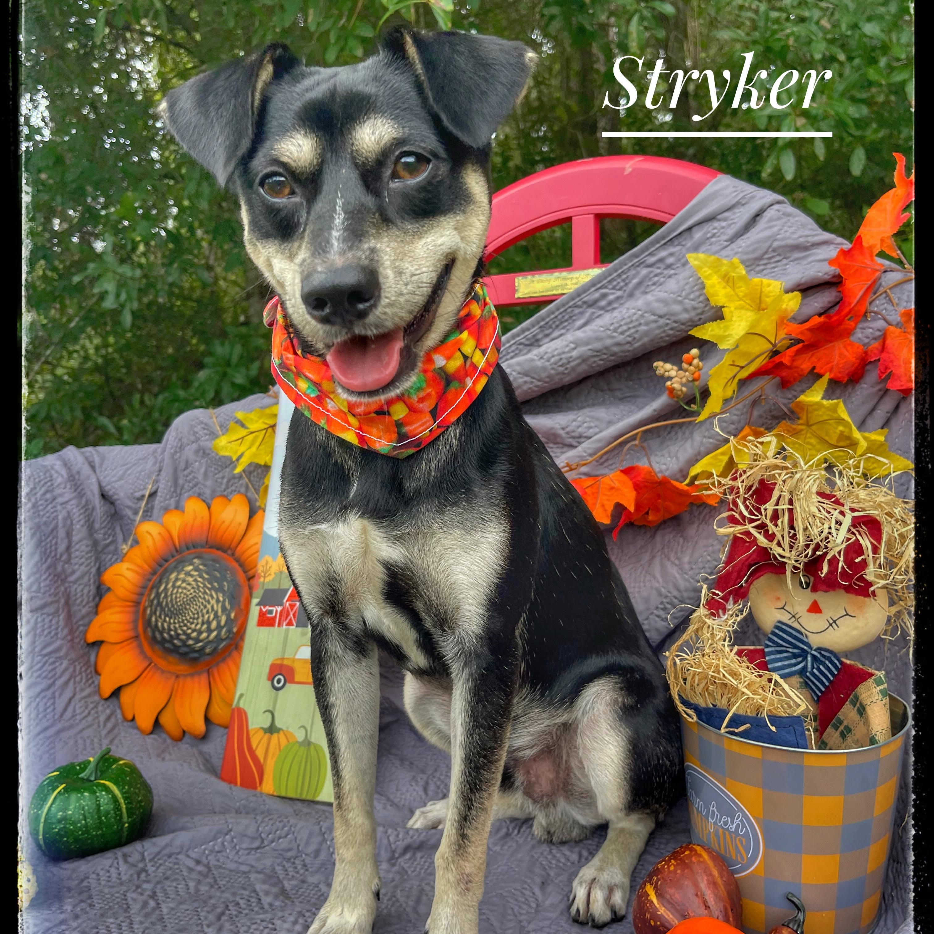 Stryker