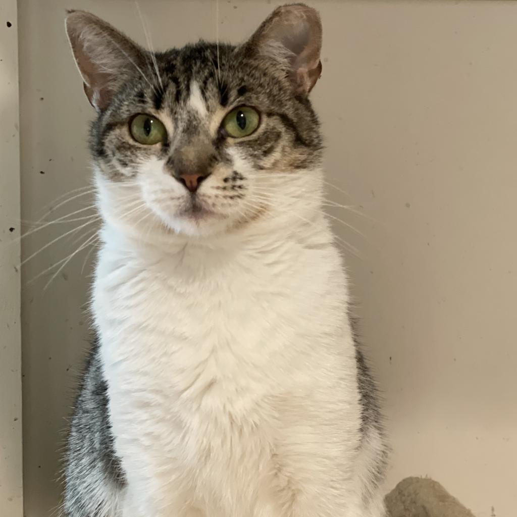 Tati — thumbnail 2