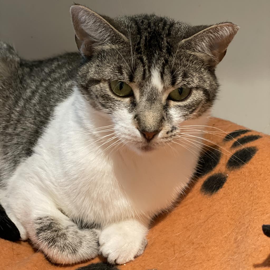 Tati — thumbnail 3