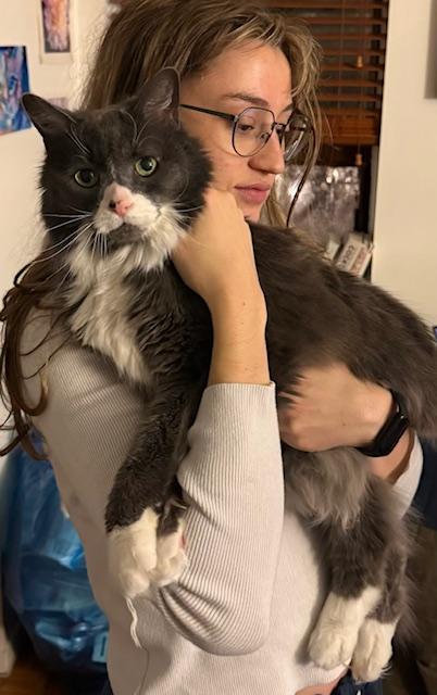 Enlarge Mini, a Adoptable Domestic Medium Hair in Montreal, QC image 4/6