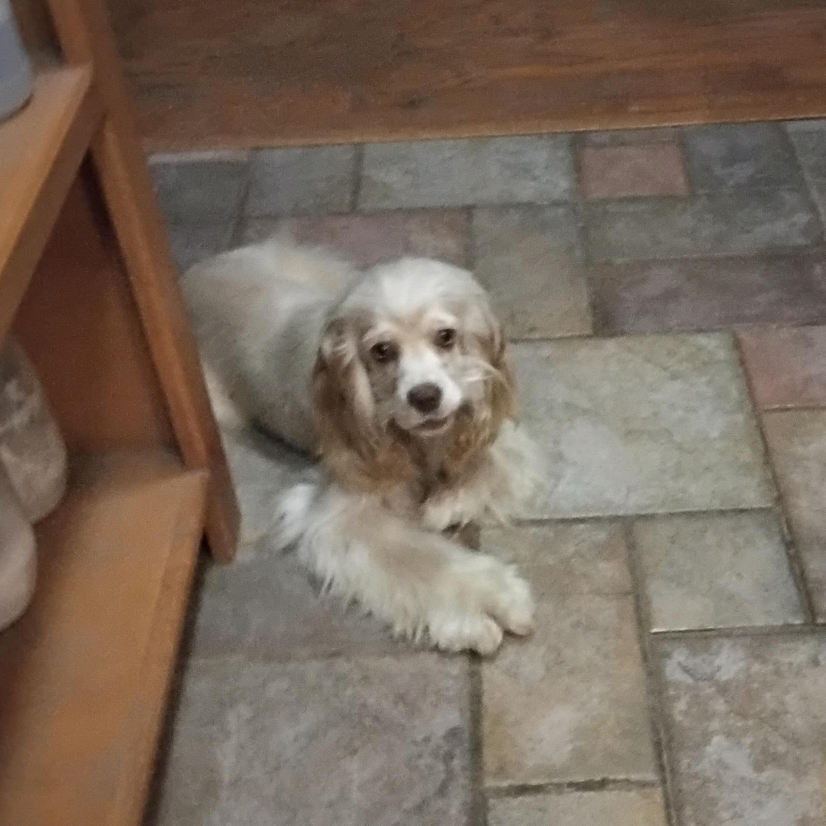 Skye