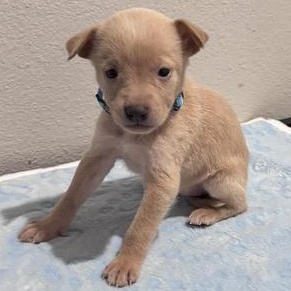 Serena — thumbnail 2