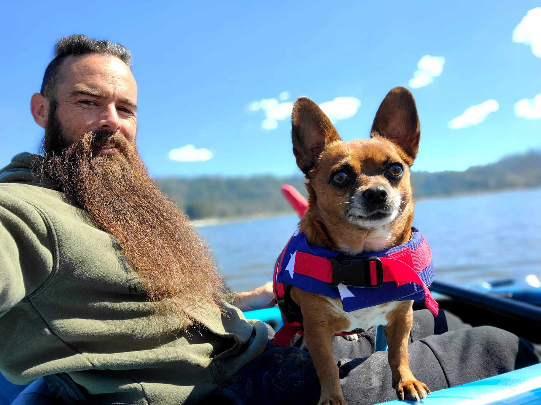 Utah, a Adopted mixed breed in Selma, CA image 5/5