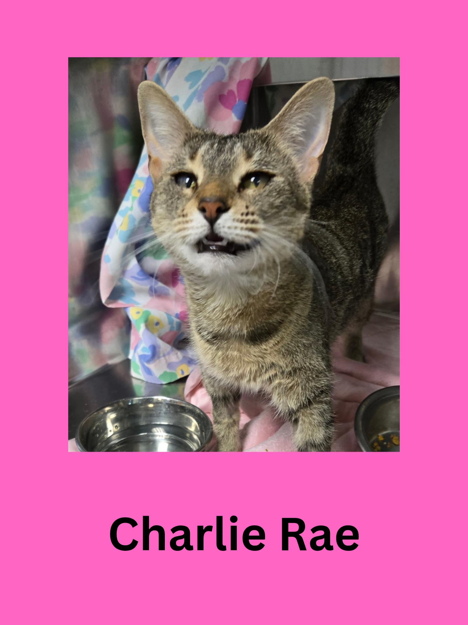 Charlie Rae