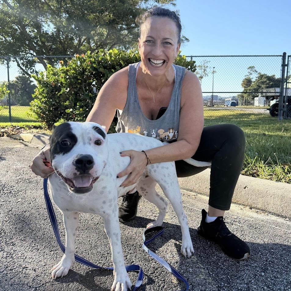 Rumi, Adoptable, Young Female Mixed Breed.