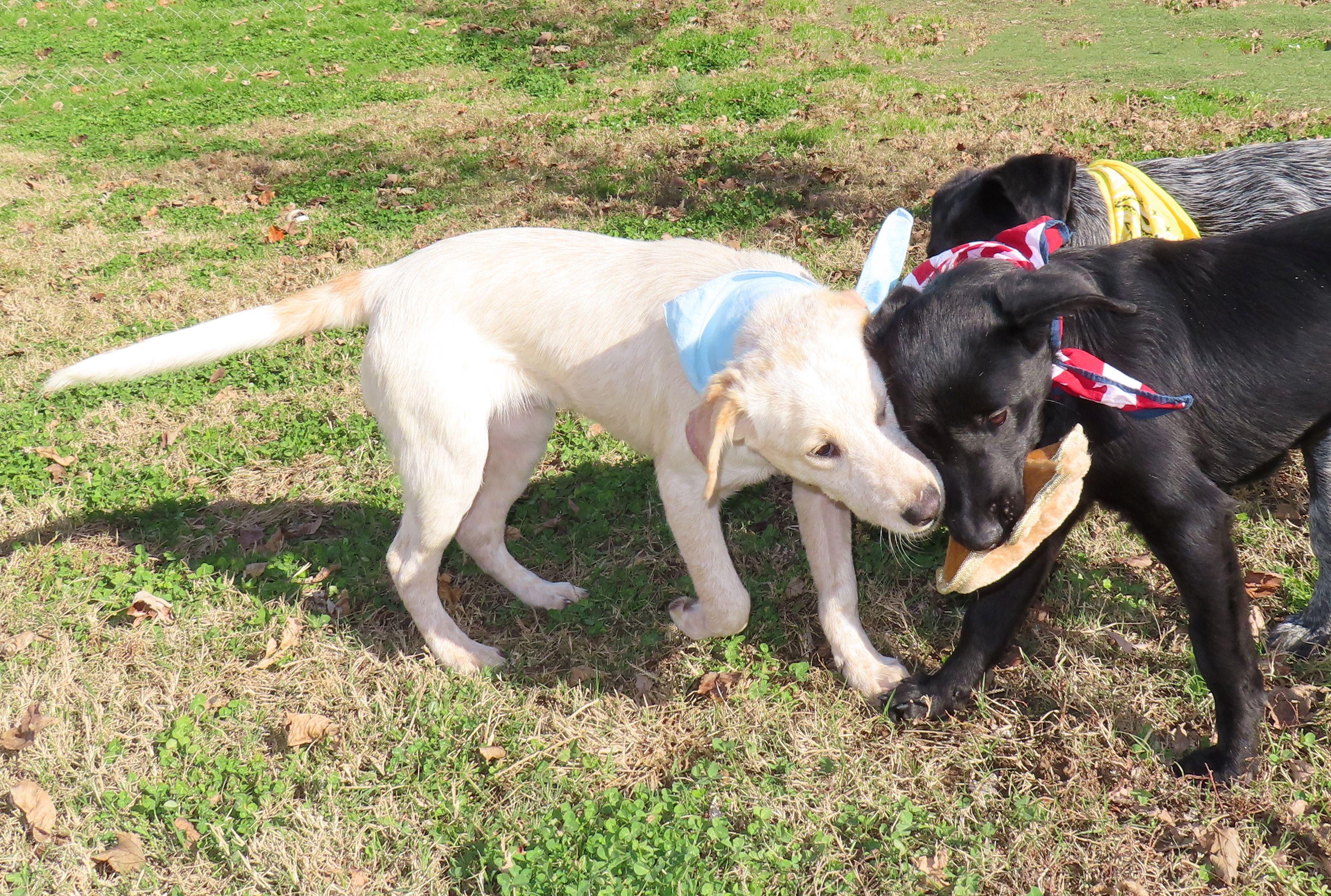 Wilkes  Cd thumbnail 2