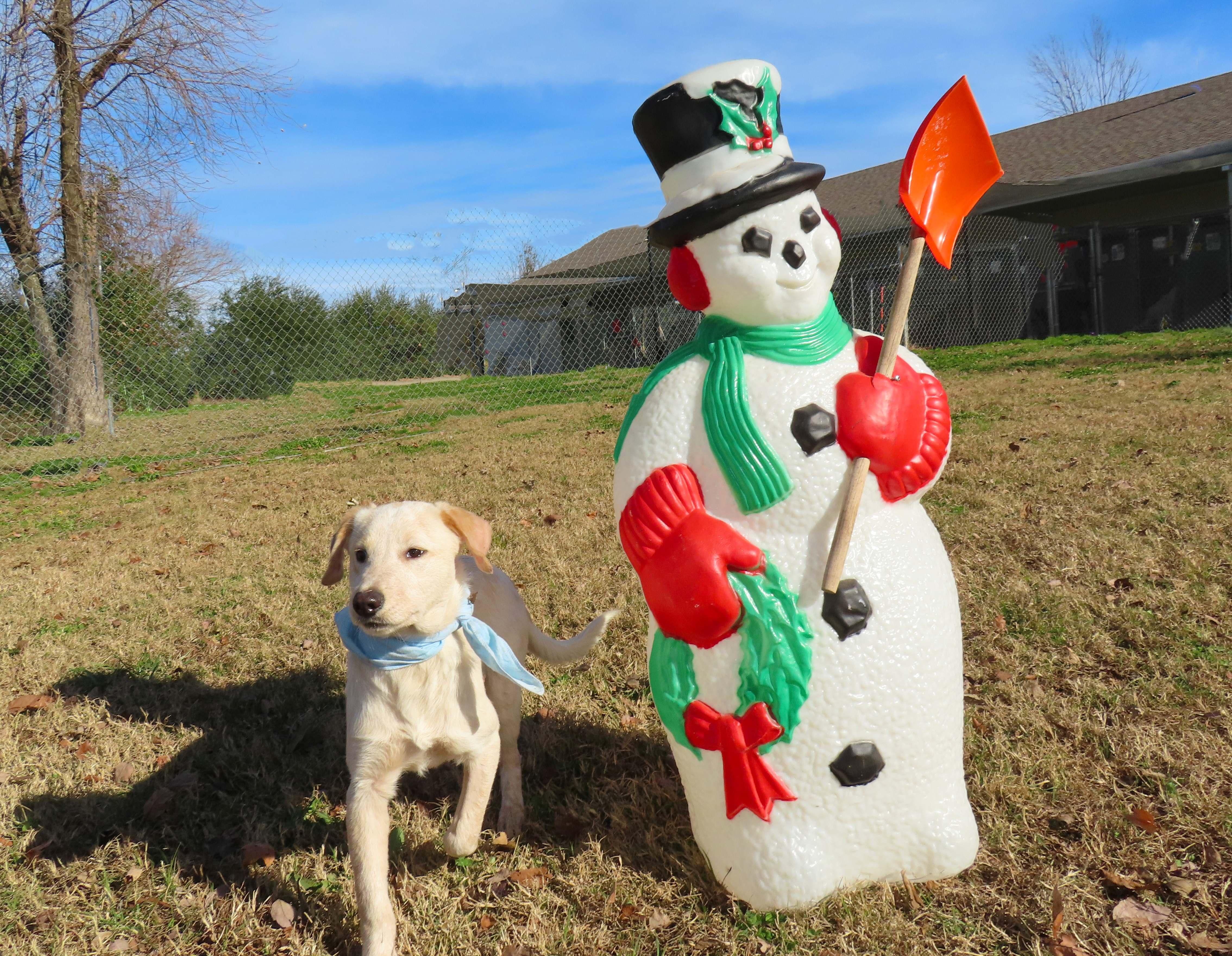 Wilkes  Cd thumbnail 4