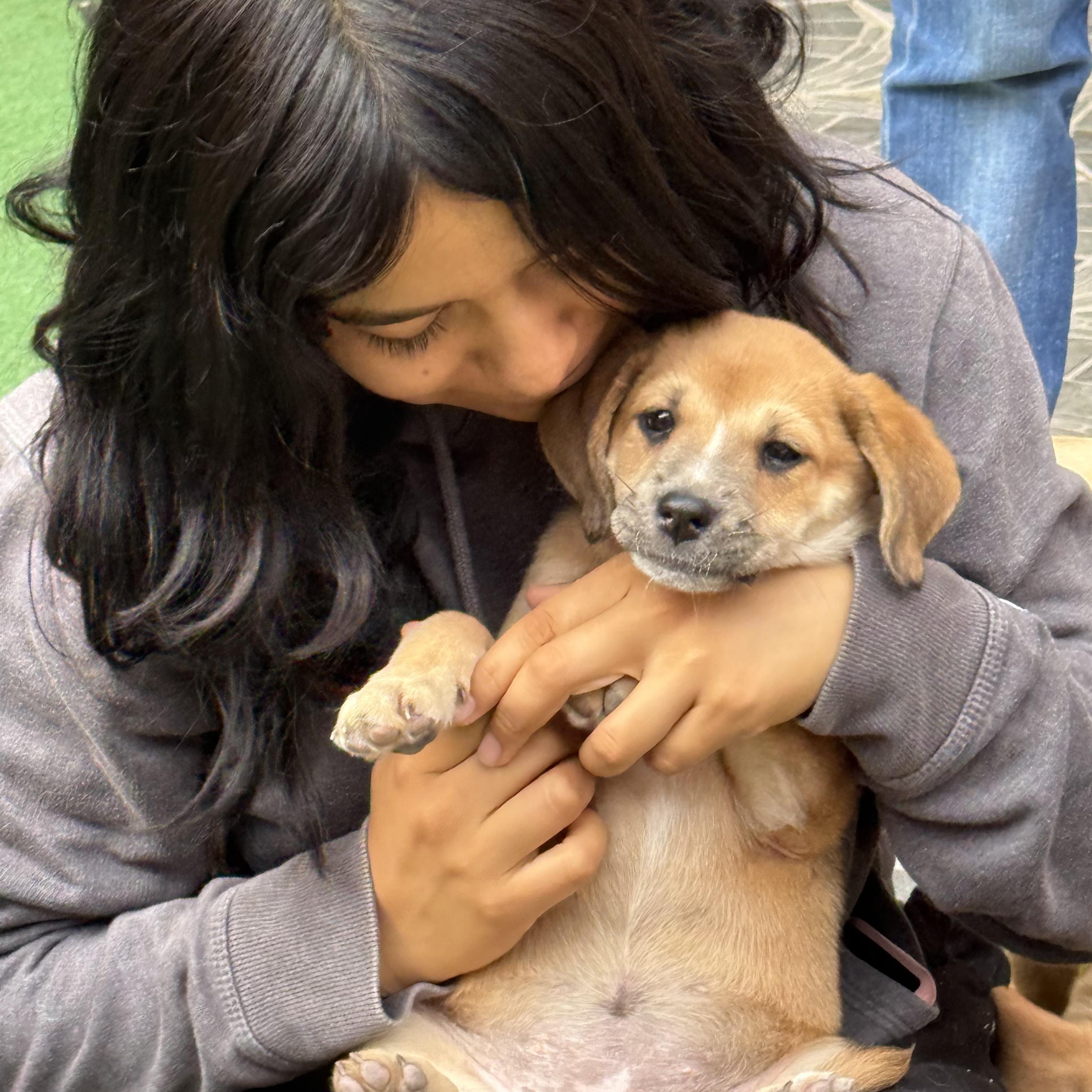Enlarge Tilly, a Adopted mixed breed in Austin, TX image 4/6