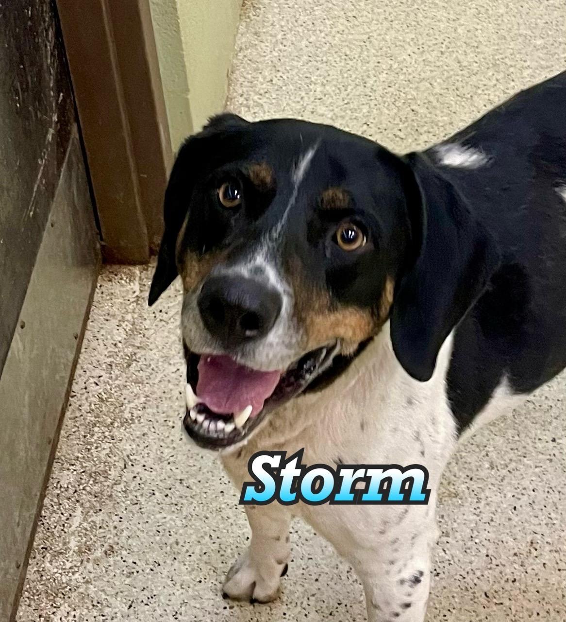 Storm