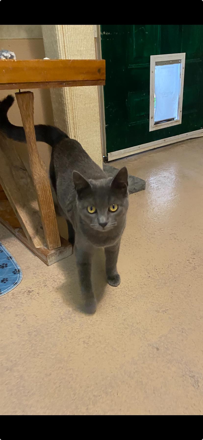 Luna