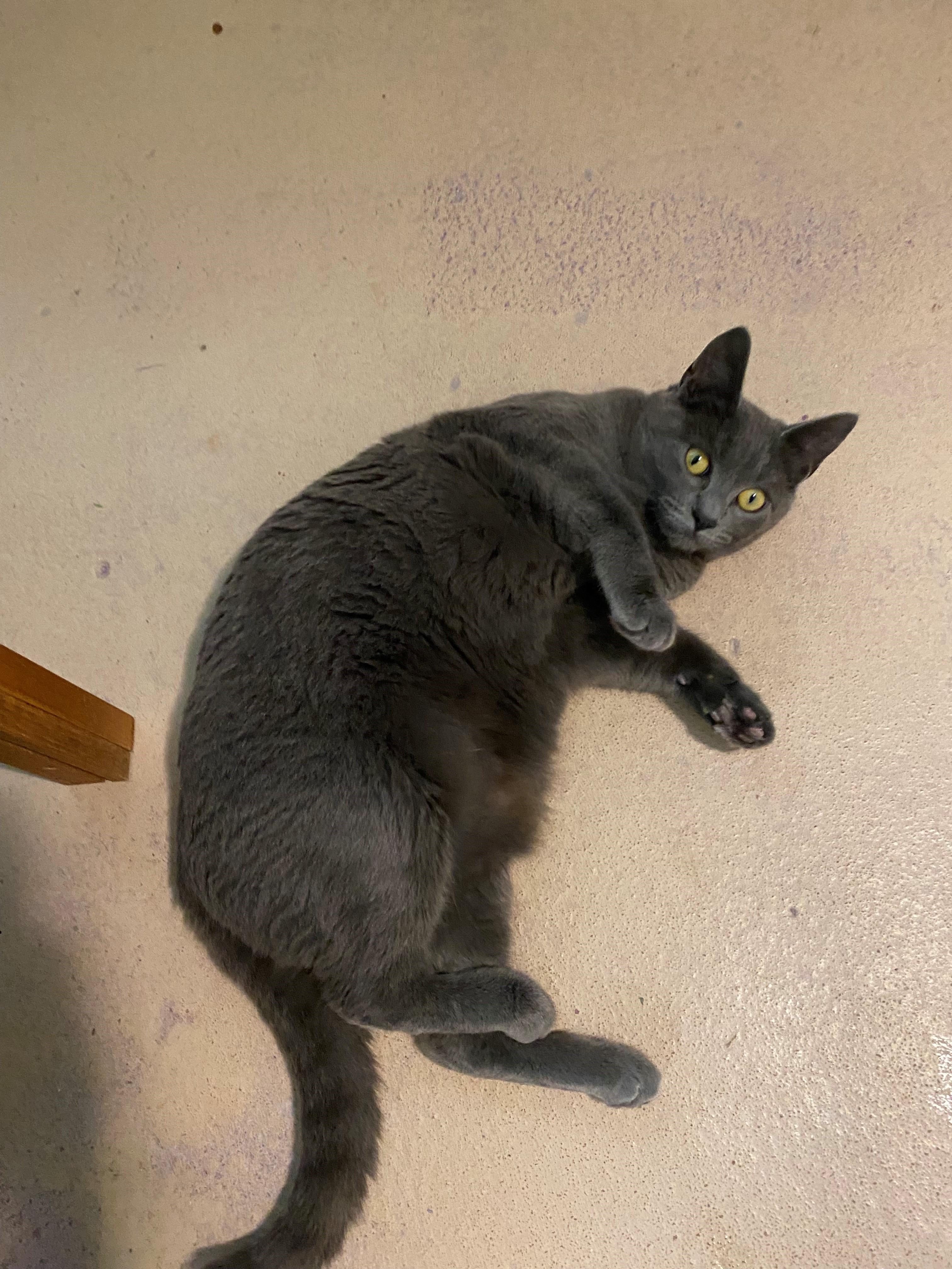 Luna