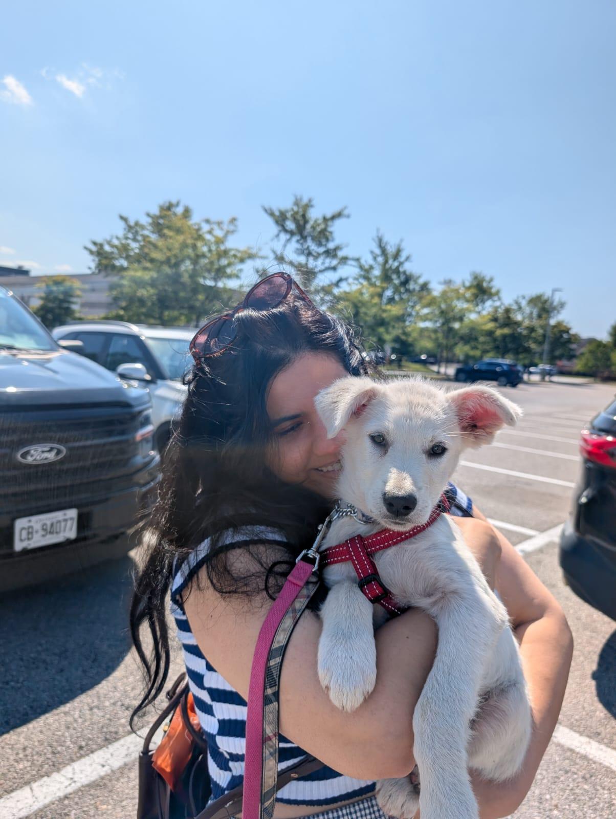 Enlarge Lucille, a Adoptable mixed breed in Toronto, ON image 6/6