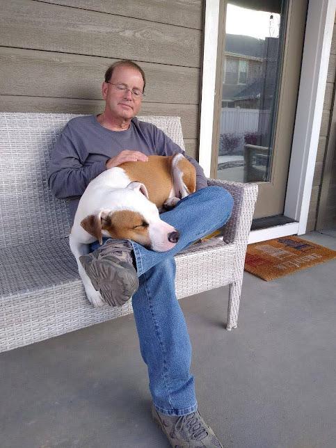 Enlarge Jackson, a Adoptable mixed breed in Jerome, ID image 4/6