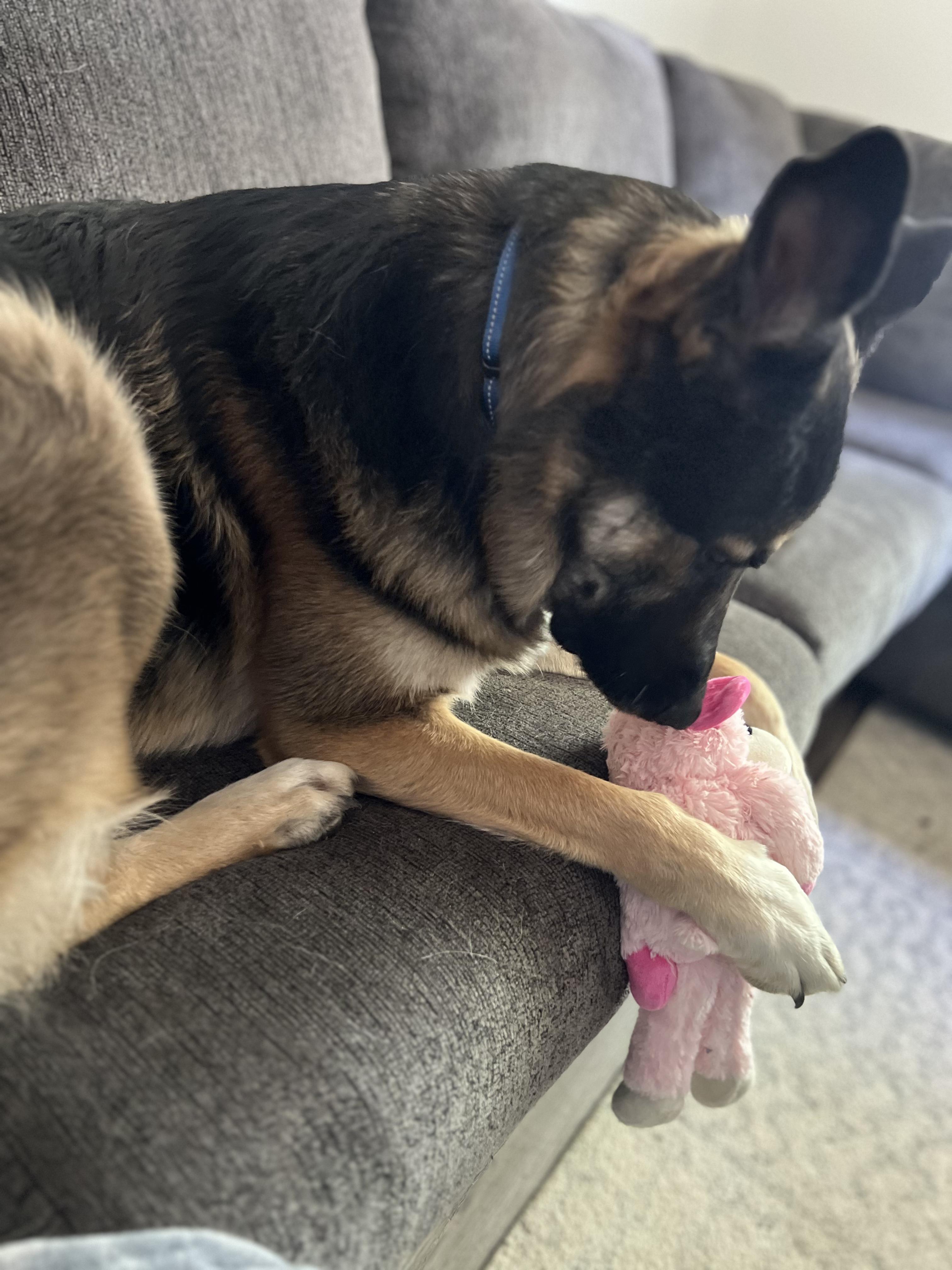 Rango photo 3