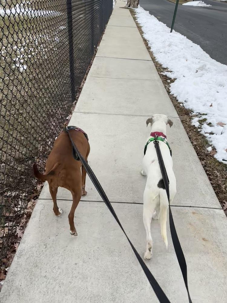 Vera — thumbnail 2