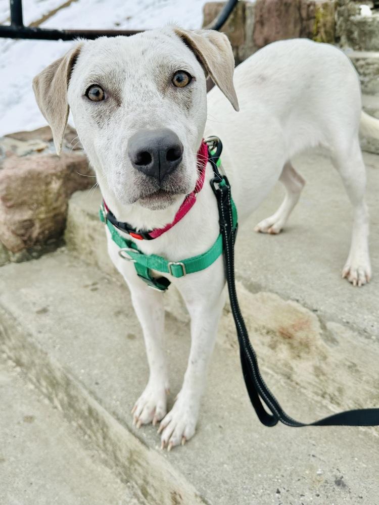 Vera — thumbnail 3