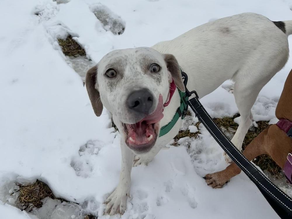 Vera — thumbnail 4