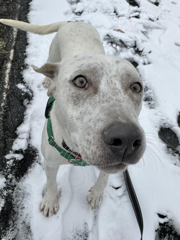 Vera — thumbnail 5