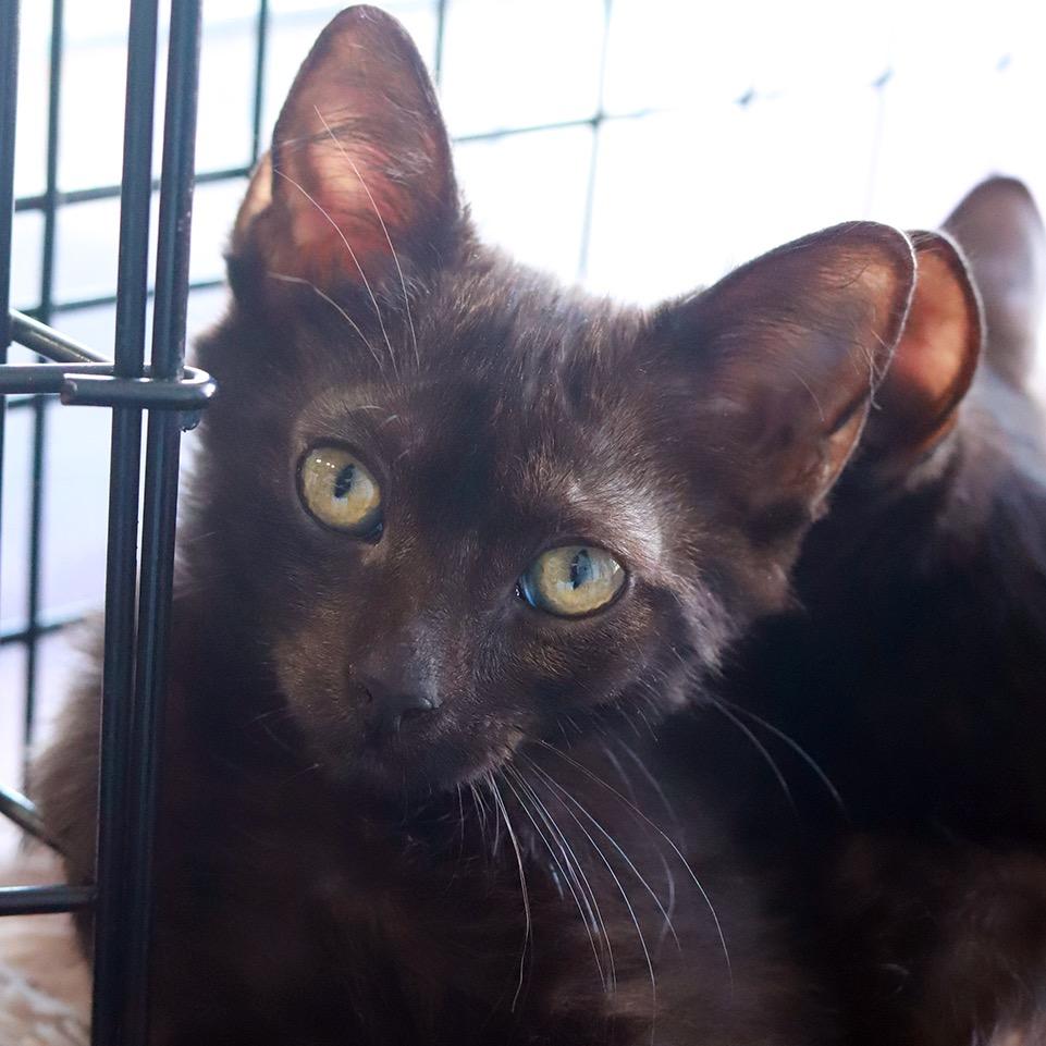 Radar — thumbnail 2