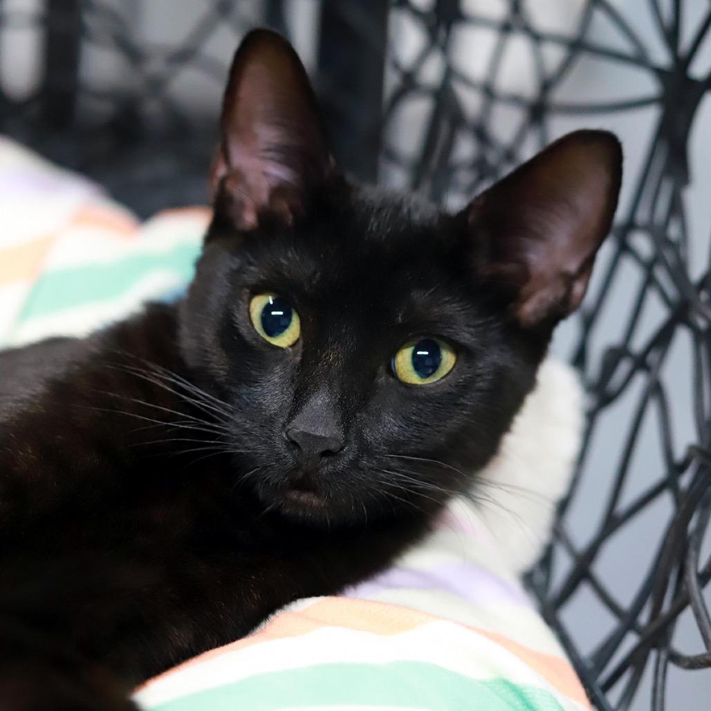 Radar — thumbnail 4