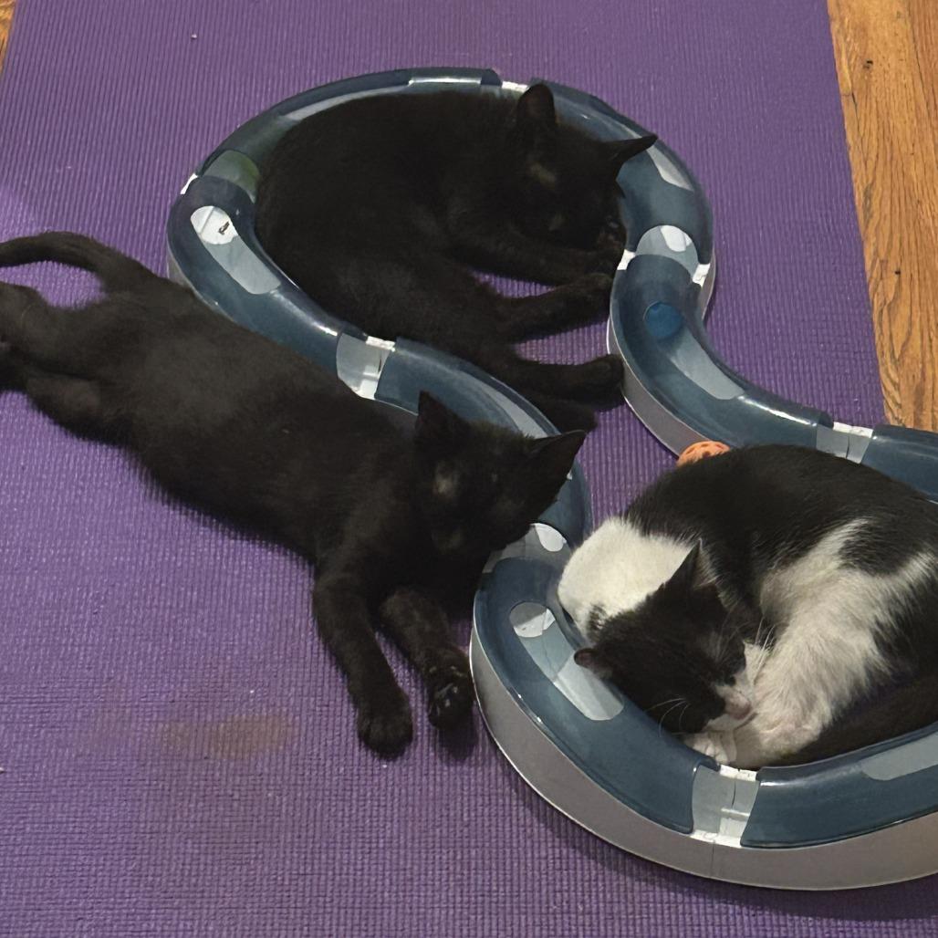 Radar — thumbnail 5