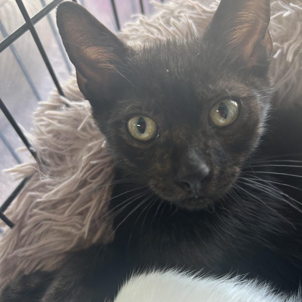 Radar — thumbnail 6