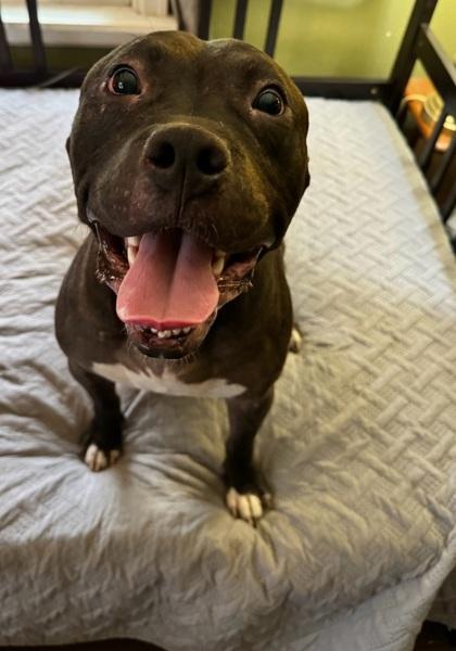 Connor — thumbnail 2