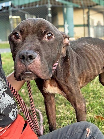 Connor — thumbnail 3