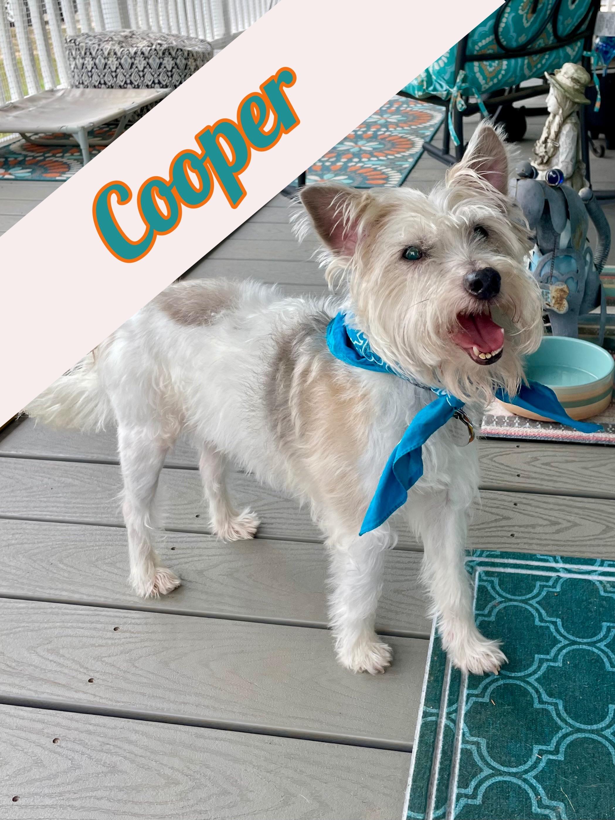 Cooper in Texarkana TX