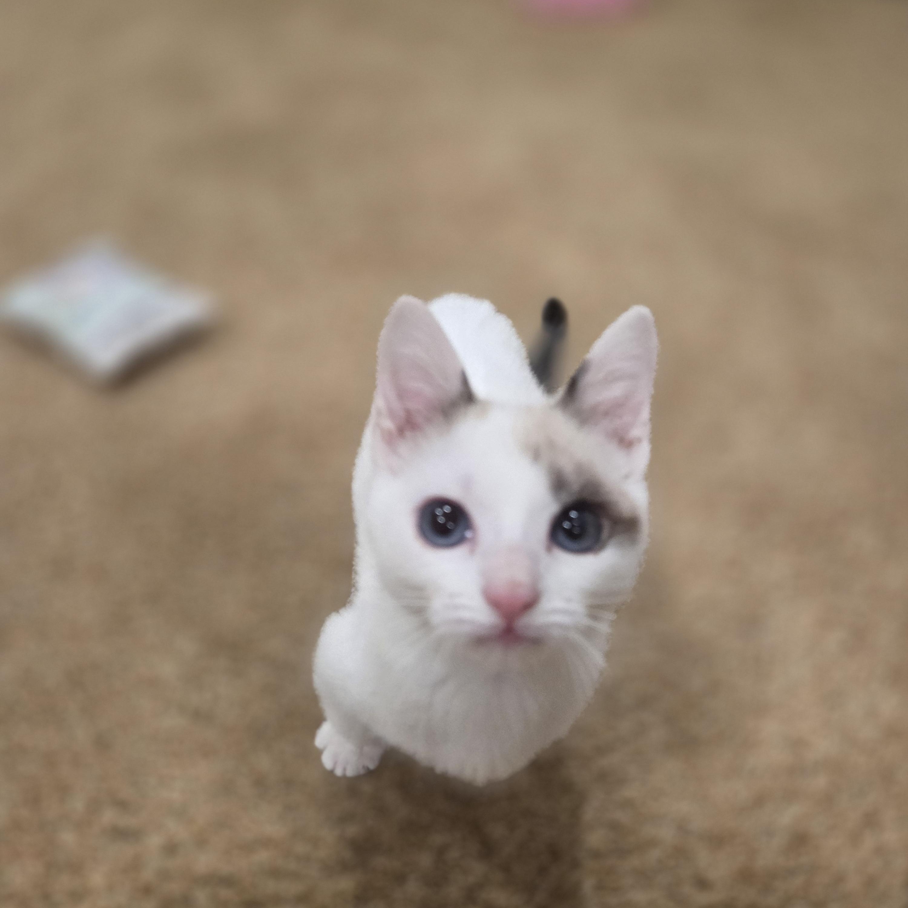 Bugsy