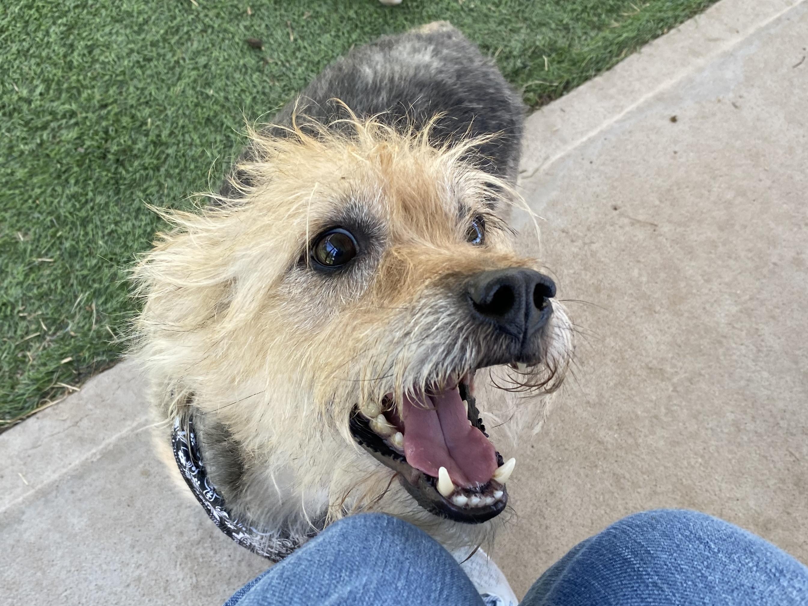 Axel